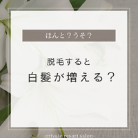 画像266