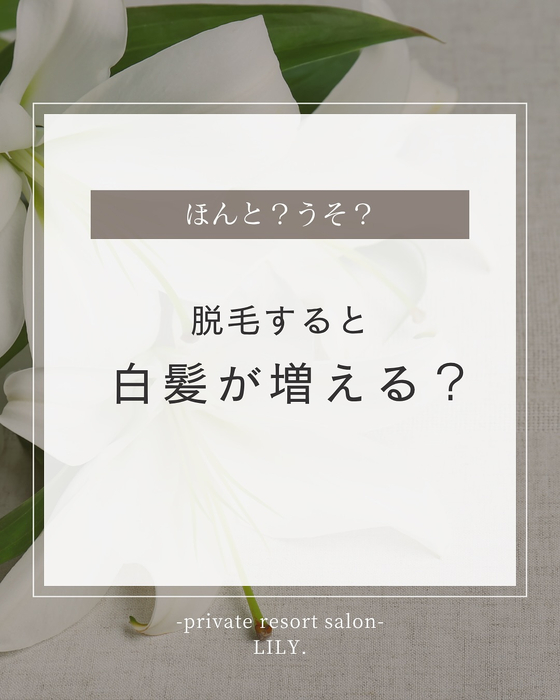 画像266