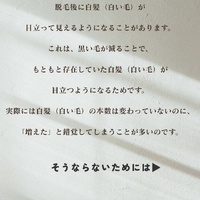 画像267