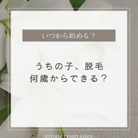 画像281