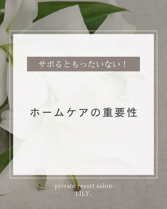 画像342