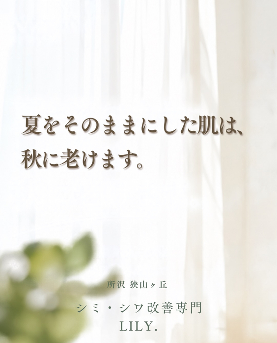 画像452
